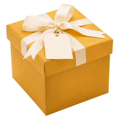 Mystery Gift